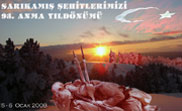 sarikamis